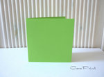 25 Doppelkarten quadratisch grün 250 g/m² Größe wählbar