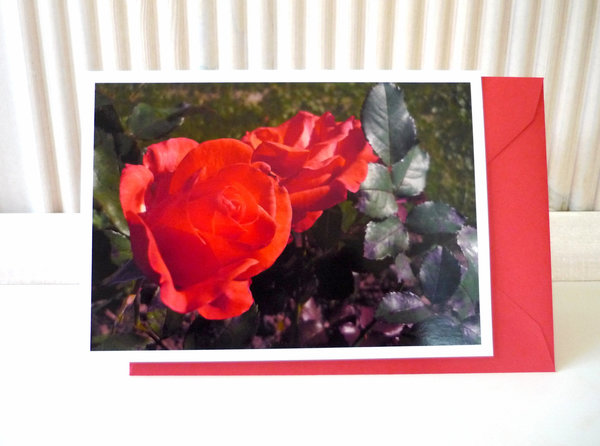 Fotokarte - Grußkarte Rote Rosen